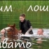 Czy konie potrafią pływać??